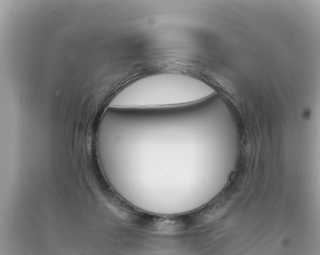 X0000094180315200710260938