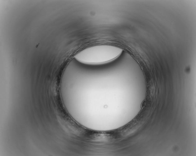 X0000094180316200710260938