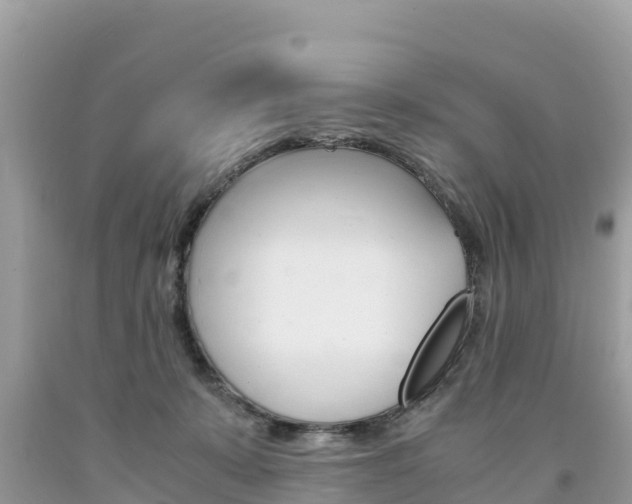 X0000094180319200710260938