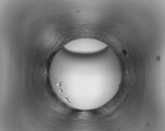 X0000094180320200710260938