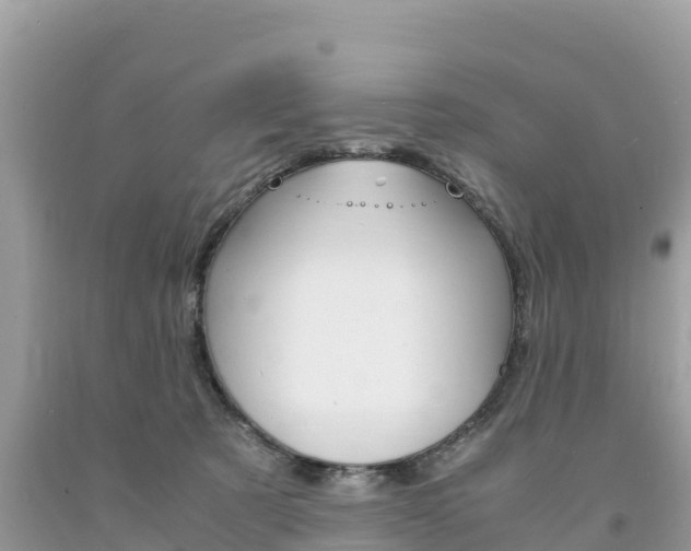 X0000094180321200710260938