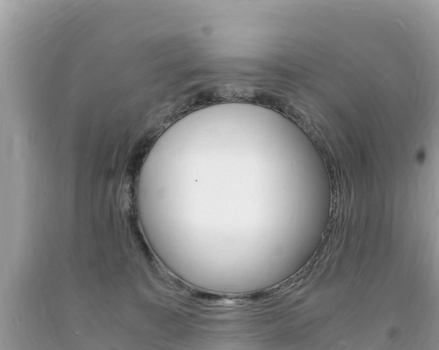 X0000094180323200710260938