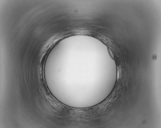 X0000094180339200710260937