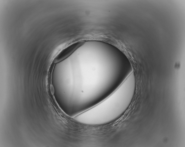 X0000094180340200710260937