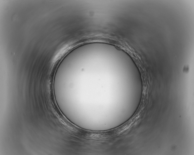 X0000094180341200710260937