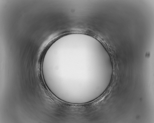 X0000094180343200710260937