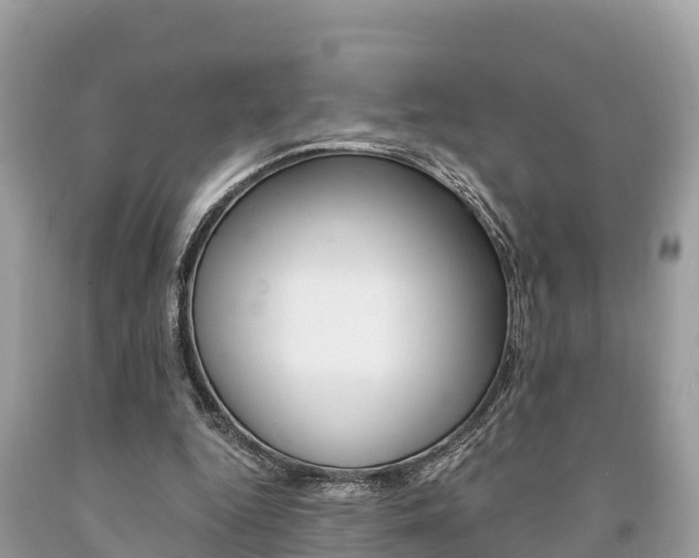 X0000094180344200710260937