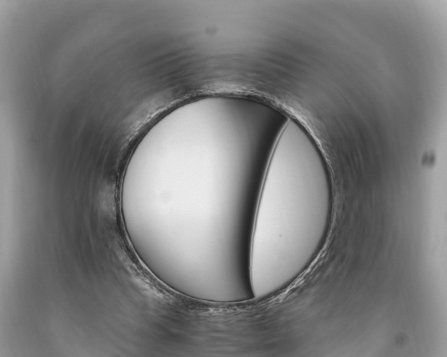 X0000094180345200710260937
