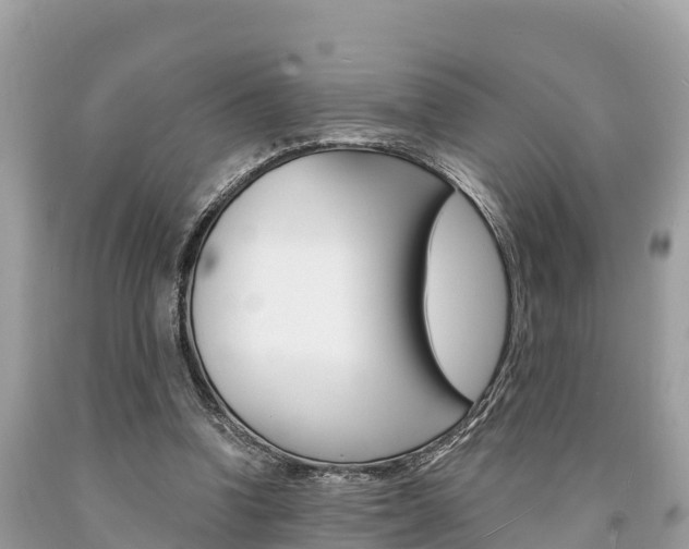 X0000094180346200710260937