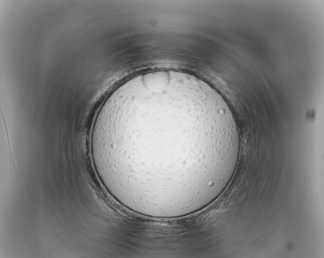 X0000094180347200710260937