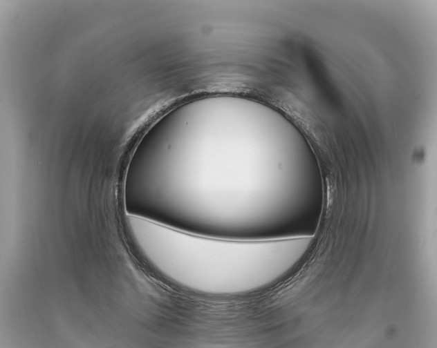 X0000094180348200710260937