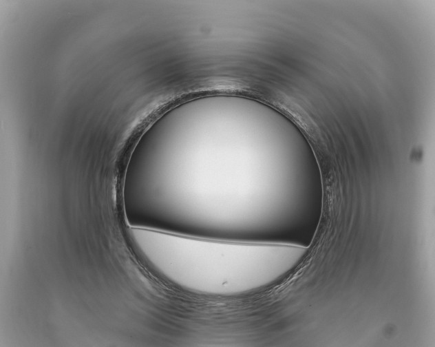 X0000094180350200710260937