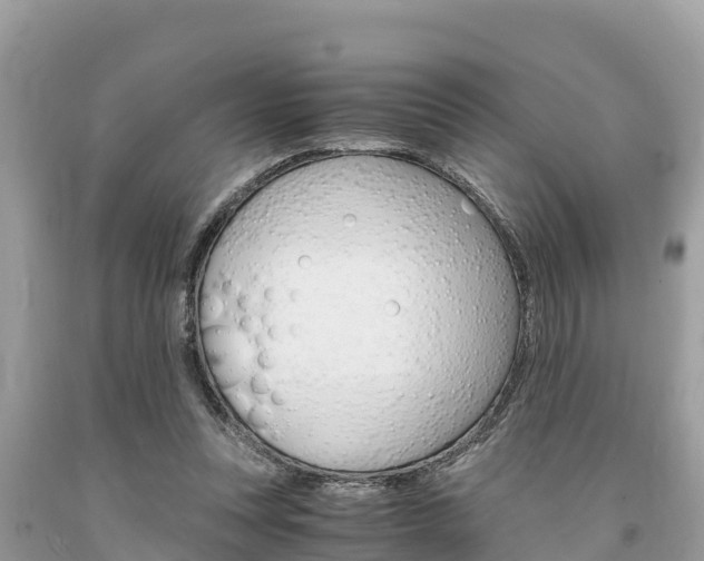 X0000094180351200710260937