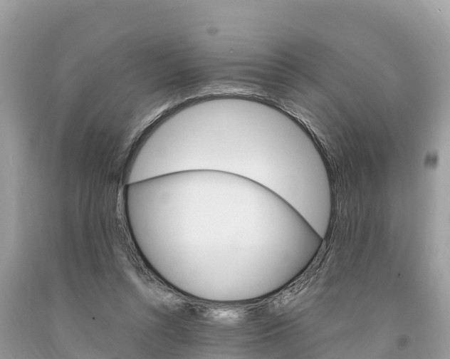 X0000094180352200710260937