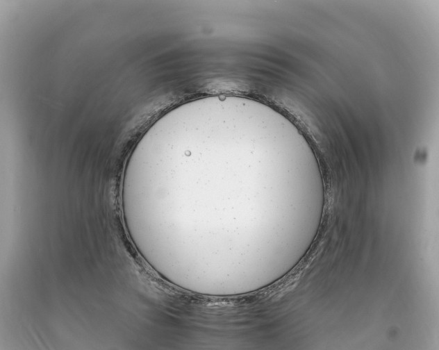 X0000094180353200710260937