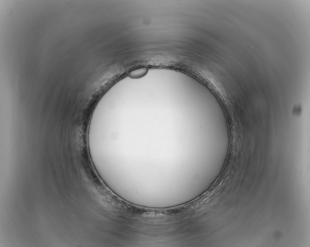 X0000094180354200710260937