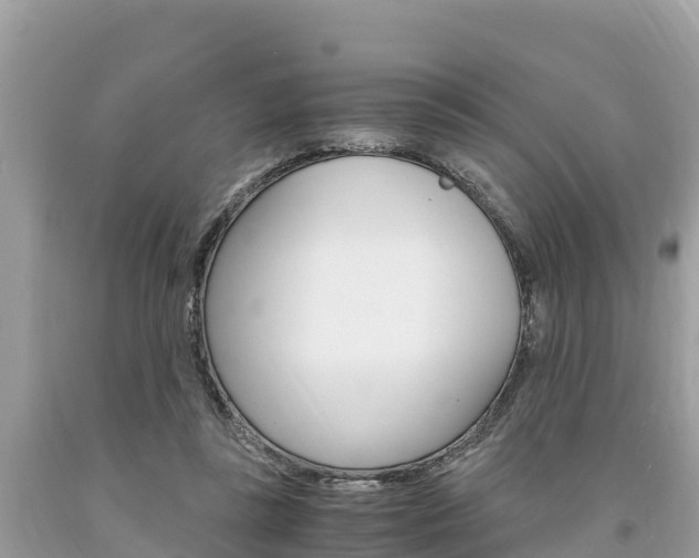 X0000094180355200710260937