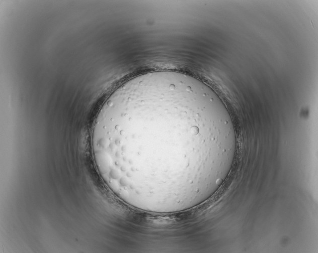 X0000094180359200710260937