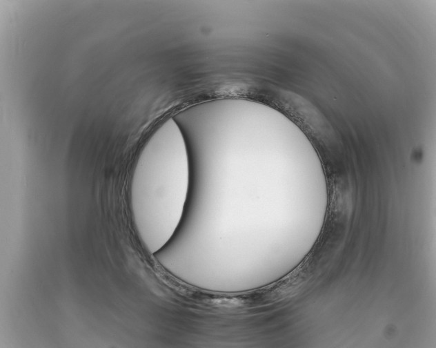X0000094180363200710260937