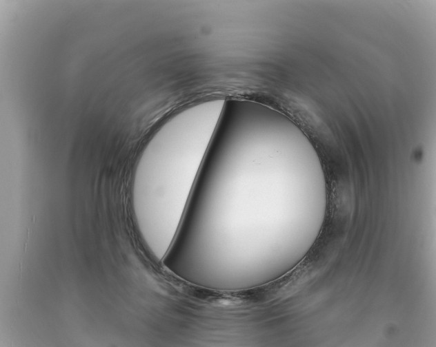 X0000094180364200710260937
