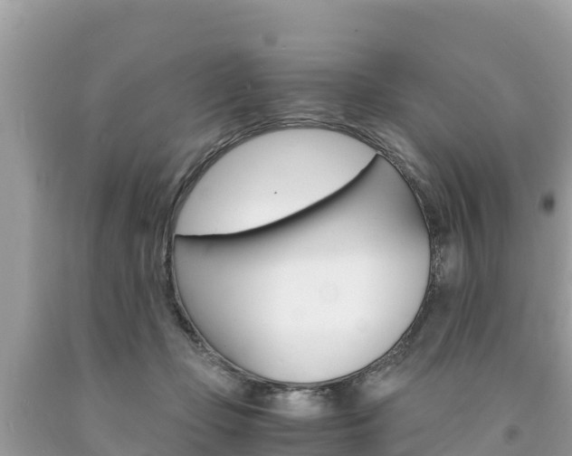 X0000094180365200710260937