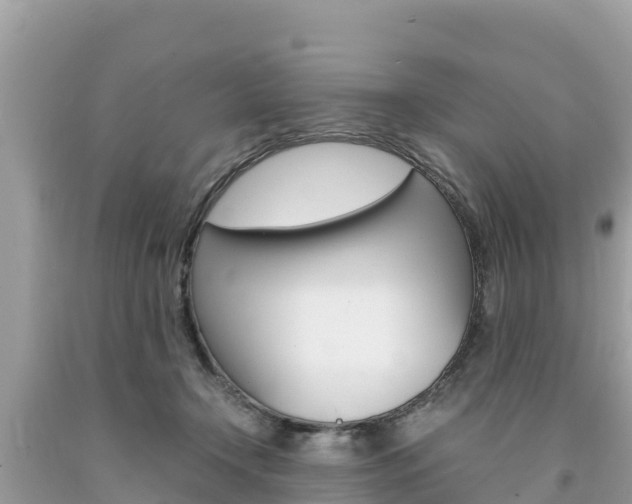 X0000094180366200710260937