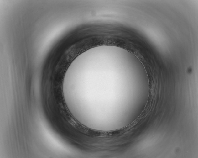 X0000094180383200710260937