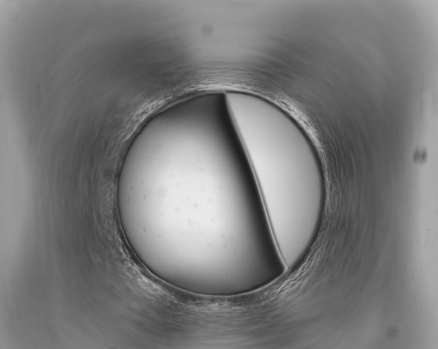 X0000094180385200710260937