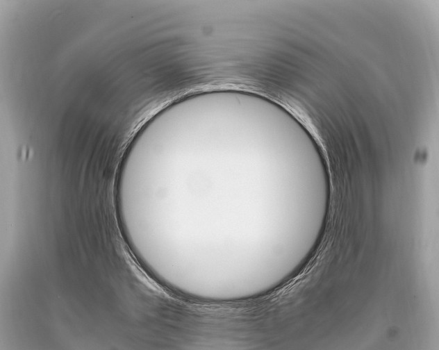 X0000094180389200710260937
