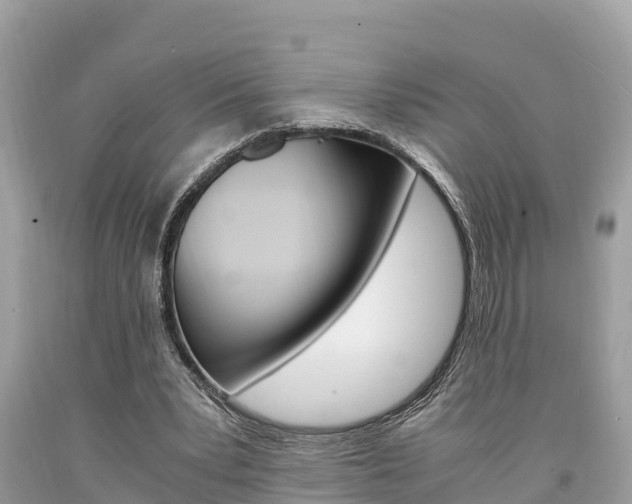 X0000094180391200710260937