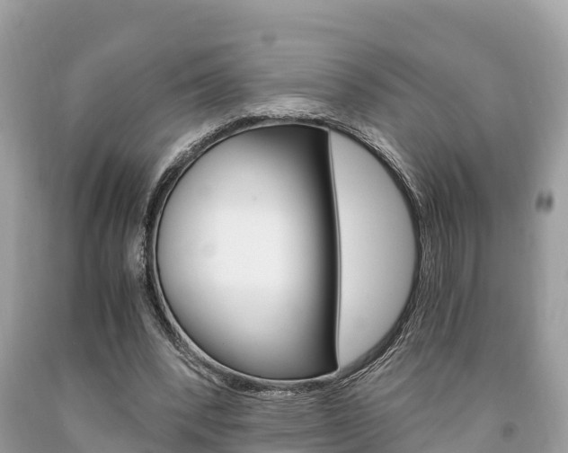 X0000094180392200710260937
