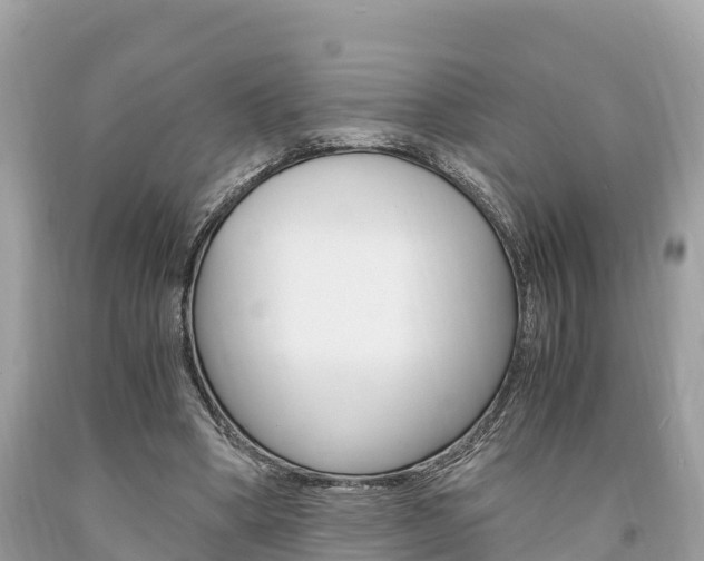 X0000094180394200710260937