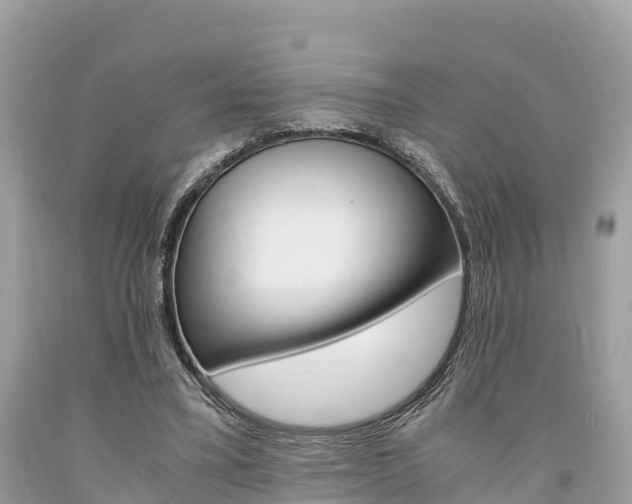 X0000094180395200710260937