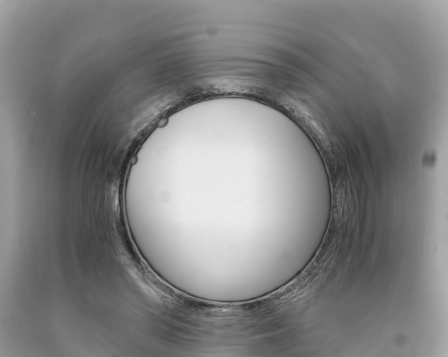 X0000094180398200710260937