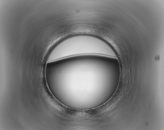 X0000094180399200710260936