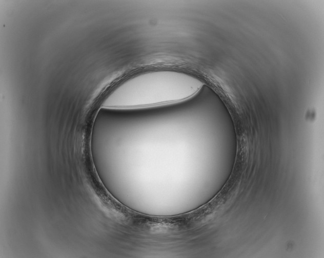 X0000094180400200710260936