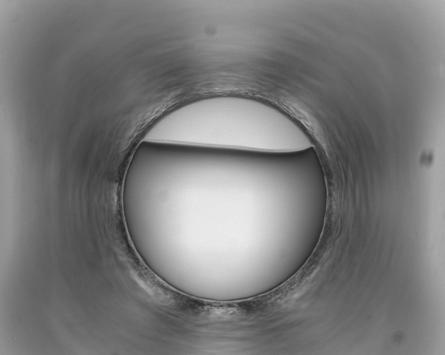 X0000094180401200710260936