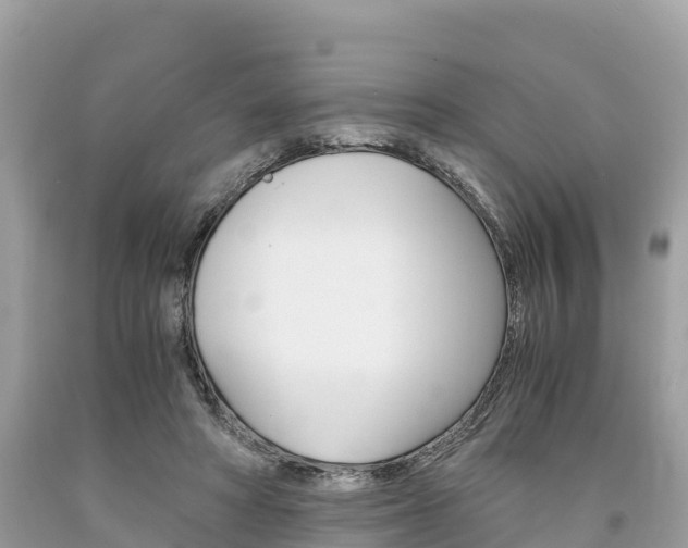 X0000094180402200710260936