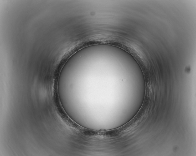 X0000094180404200710260936