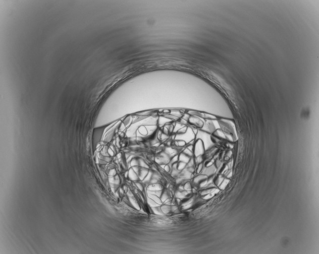 X0000094180405200710260936