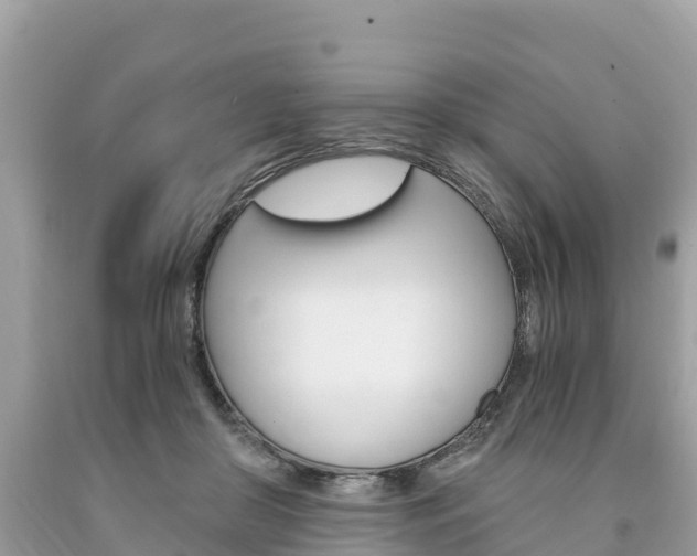 X0000094180410200710260936