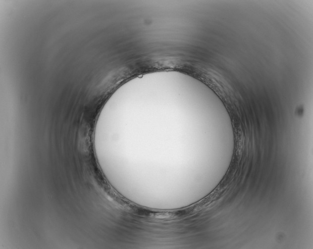 X0000094180414200710260936