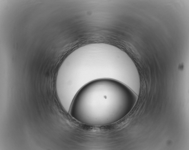 X0000094180416200710260936