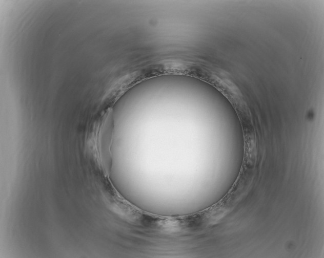 X0000094180419200710260936