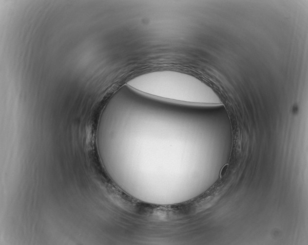 X0000094180420200710260936