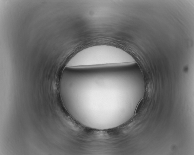 X0000094180424200710260936