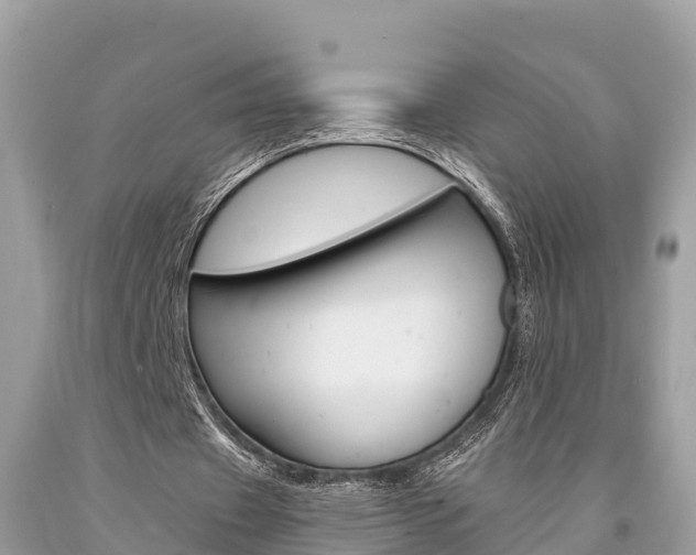 X0000094180433200710260935