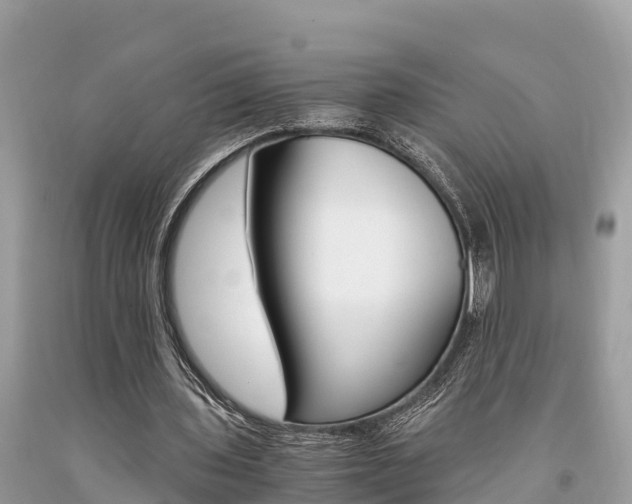 X0000094180435200710260935