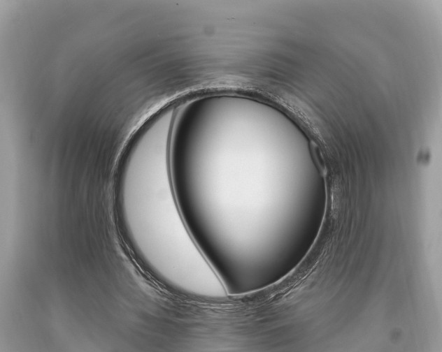 X0000094180436200710260935