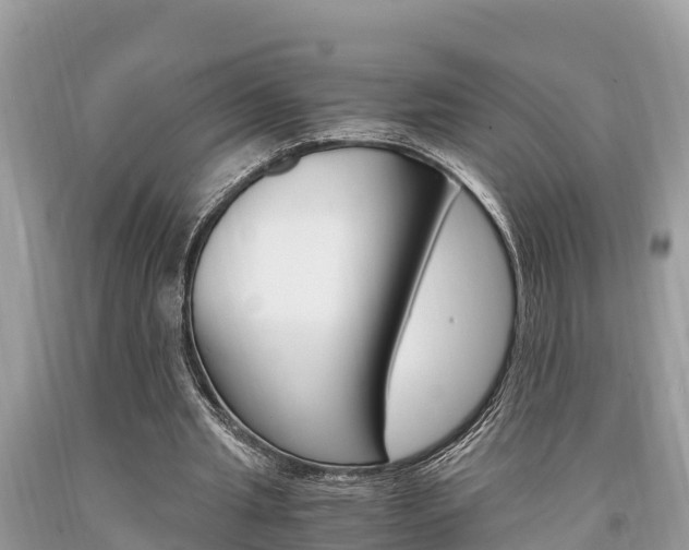 X0000094180437200710260935